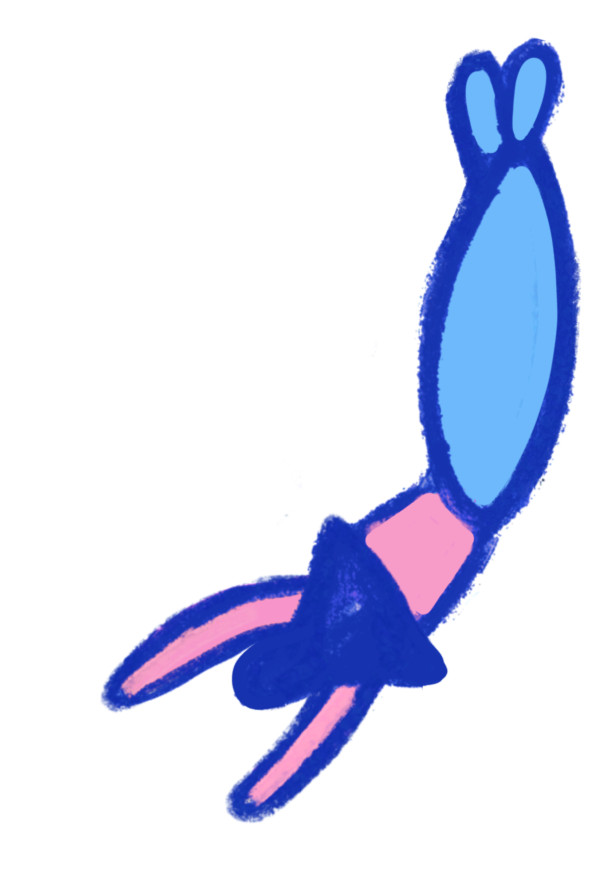 Carnaval des 2 Rives